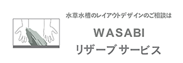 水草水槽のレイアウトデザインのご相談は、WASABIリザーブサービスへ